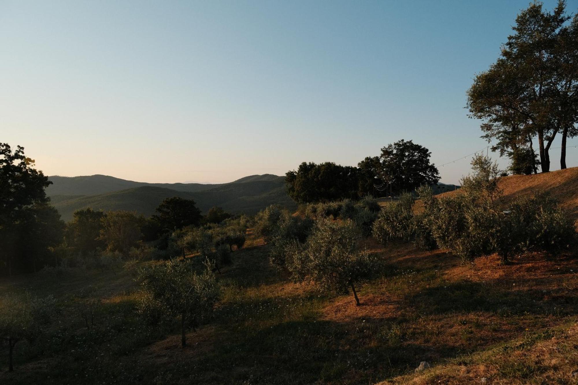 Vin Hotel - Wine Resort And Agriturismo Montieri Exterior foto